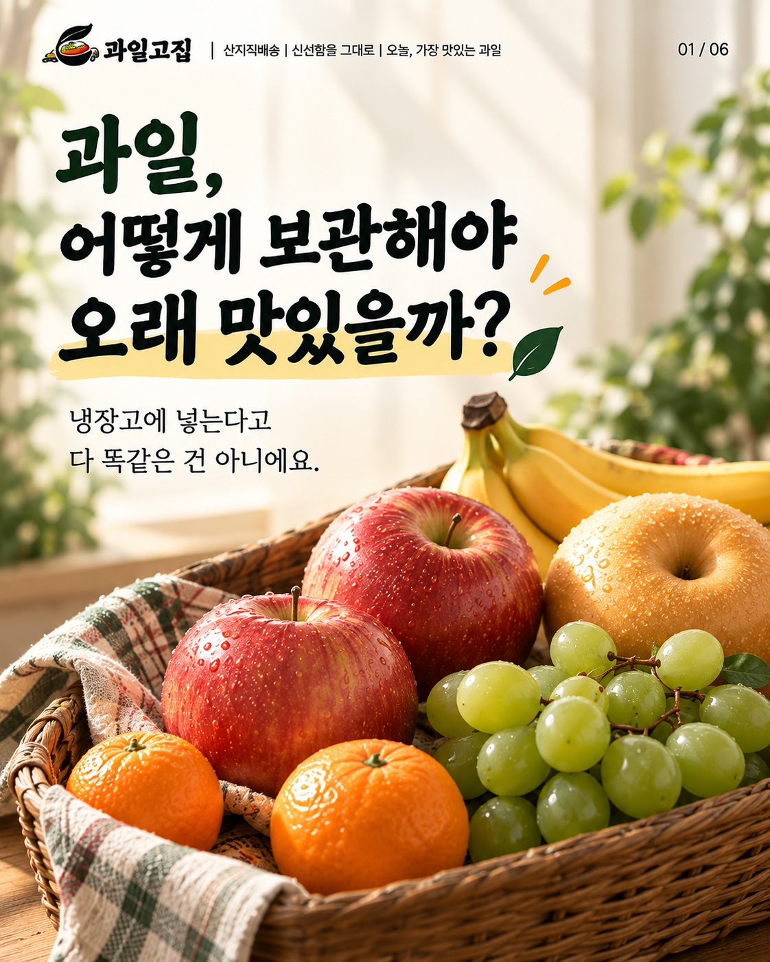 과일 보관법 콘텐츠