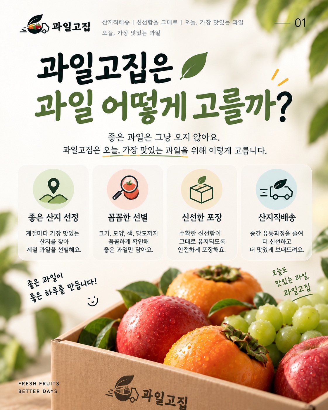 과일 선별 기준 콘텐츠